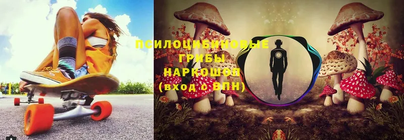 Галлюциногенные грибы Cubensis  Ипатово 